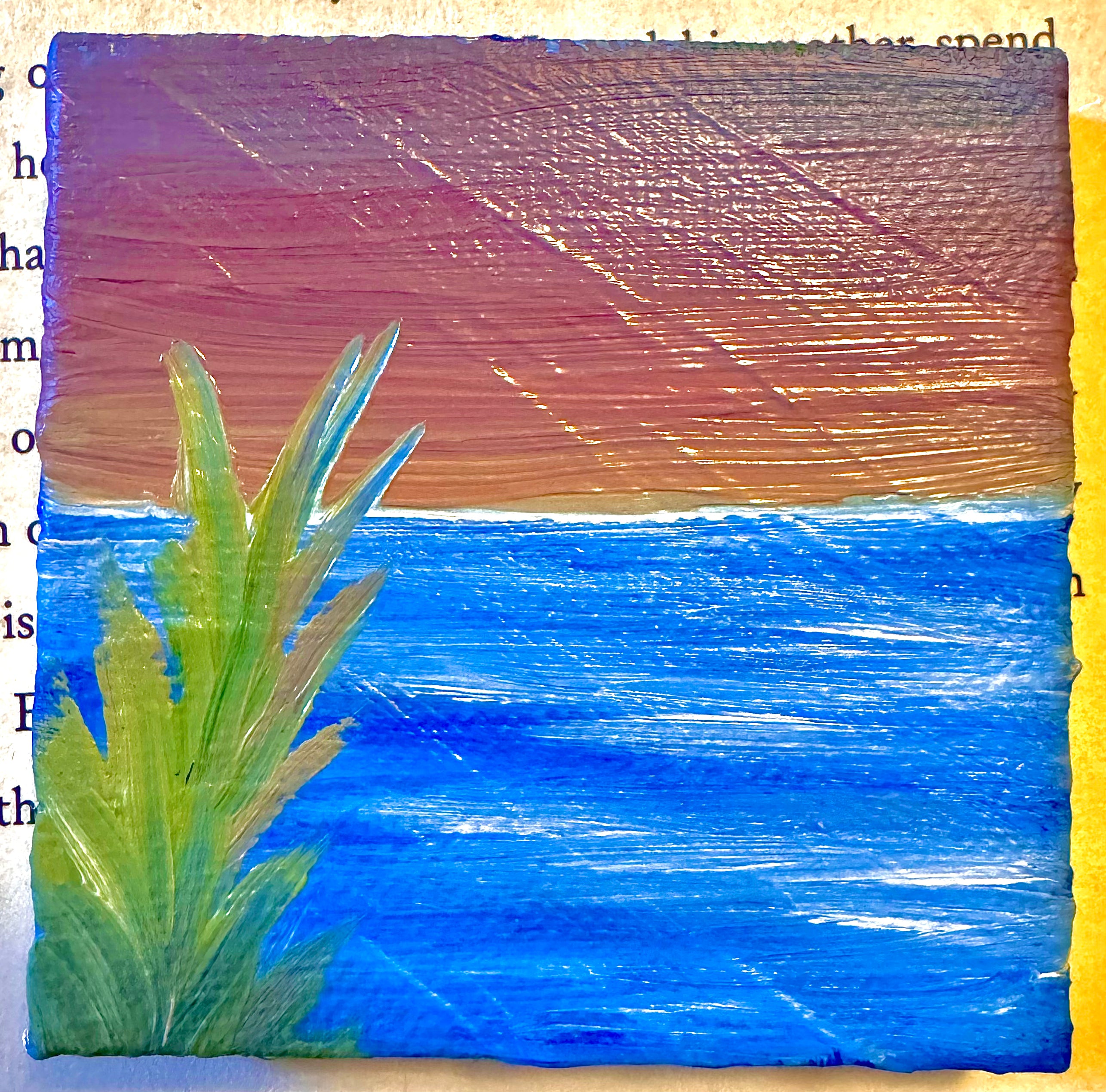 mini magnet high tide